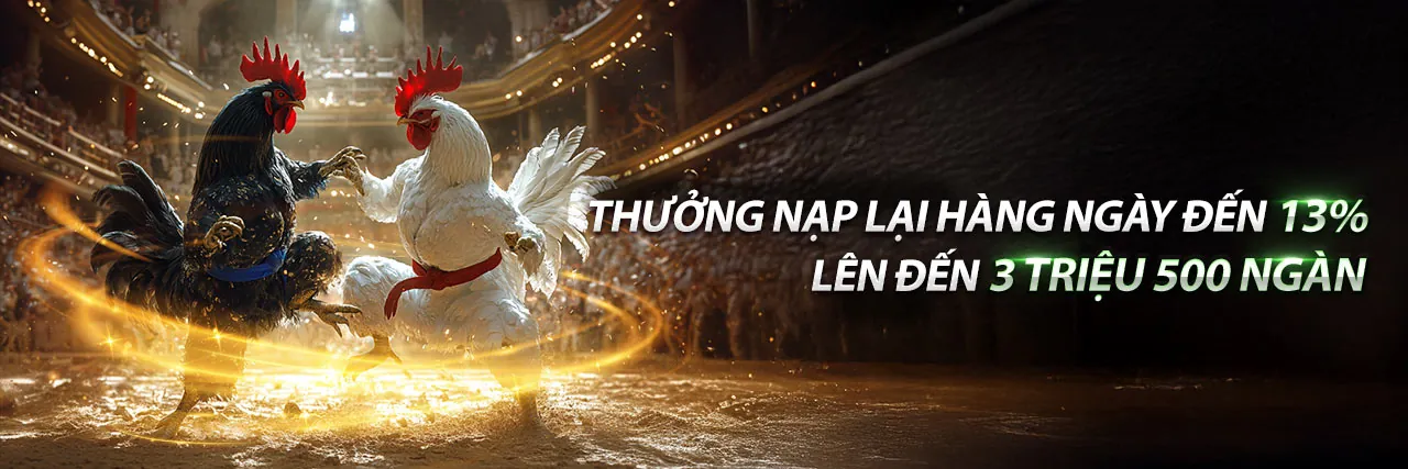 Đá Gà Tổng Hợp Kịch Tính tại 456Win
